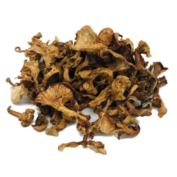 Girolle PET 500g