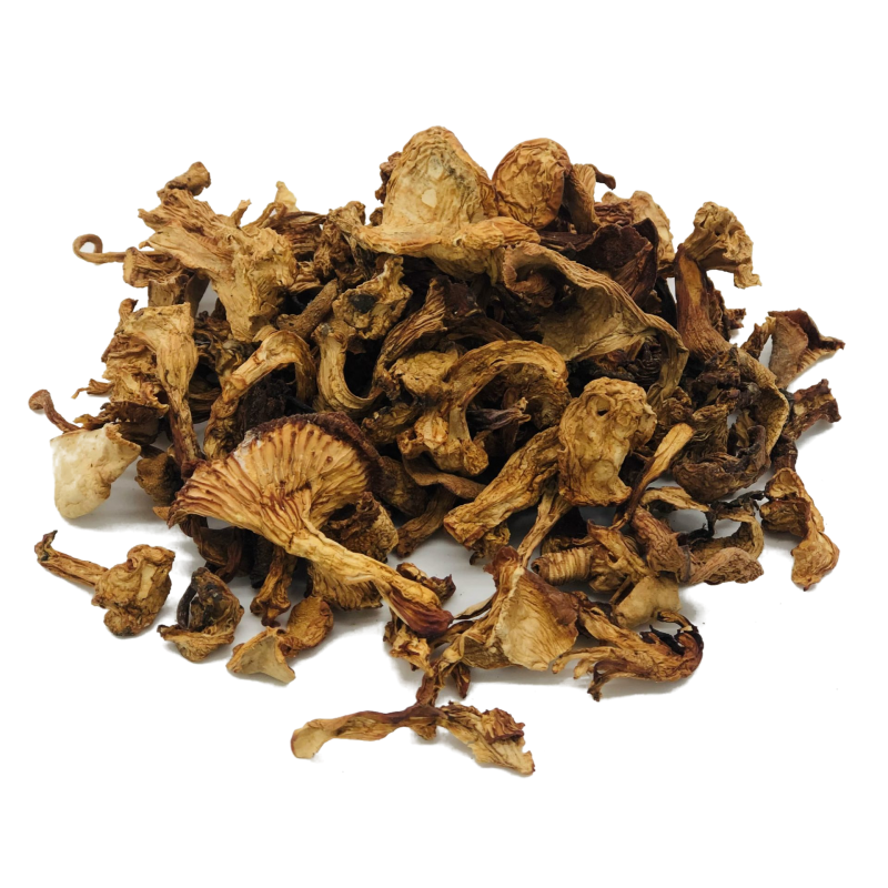 Girolle PET 500g