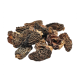 Morilles de printemps en pot PET 25g