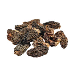 Morilles de printemps en pot PET 25g