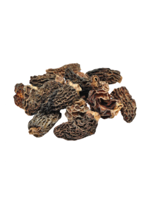 Morilles de printemps en pot PET 25g