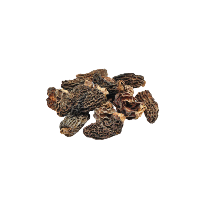 Morilles de printemps en pot PET 25g